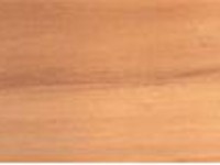 Hoop Pine